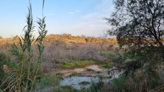 2023-11-GranCan-Maspalomas_Oasis-49.jpg
